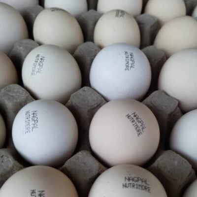 30 Nagpal Desi Eggs
